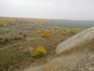 Новотроицкое - Последние фото