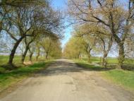 Тристень з panoramio.com