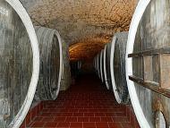 Шабо з panoramio.com