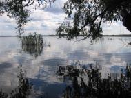 Придніпровське з panoramio.com