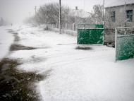 Красний Партизан з panoramio.com