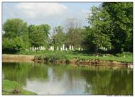 Тернопілля з panoramio.com