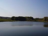 Слобідка-Мушкатівська з panoramio.com