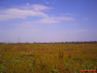 Роздольне - Останні фото