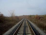 Вільхівчик з panoramio.com