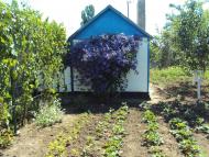 Павлопіль з panoramio.com