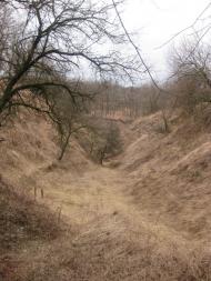 Садки з panoramio.com