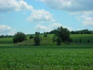 Трушівці з panoramio.com