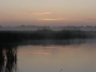 Петрівка Перша з panoramio.com