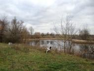 Федьківка з panoramio.com