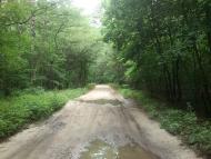 Деснянка з panoramio.com