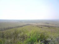 Верхньошевирівка з panoramio.com