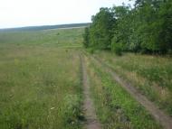 Попасне з panoramio.com