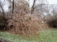 Янишівка з panoramio.com