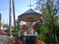 Осій з panoramio.com