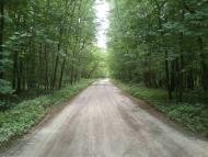 Деснянка з panoramio.com