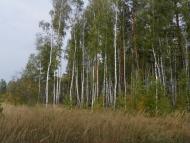 Кумейки з panoramio.com