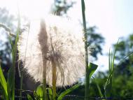 Таловая Балка - Последние фото