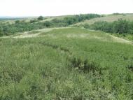 Дякове з panoramio.com