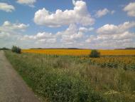 Танюшівка з panoramio.com