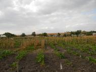 Бірки з panoramio.com