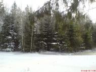 Марчихина Буда з panoramio.com