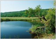 Настасіївка - Останні фото