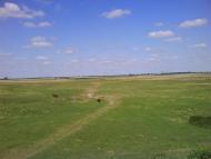 Тристень - Останні фото