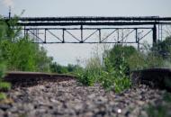 Виноградний Сад з panoramio.com