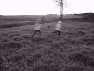 Стовп'яги з panoramio.com