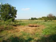 Червона Дача з panoramio.com