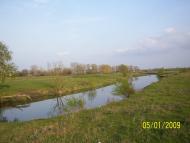 Красна Поляна з panoramio.com