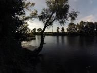 Лука з panoramio.com