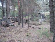 Пугач з panoramio.com