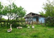 Покровка з panoramio.com