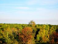 Введенка з panoramio.com