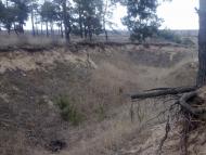 Галицинове з panoramio.com