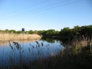 Дмитрівка з panoramio.com