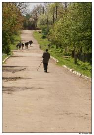 Тернопілля з panoramio.com