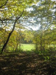 Острів з panoramio.com