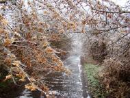 Янишівка з panoramio.com