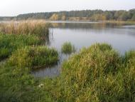 Ворошилівка з panoramio.com