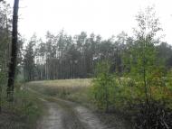 Кумейки з panoramio.com