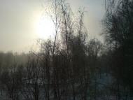 Омельник з panoramio.com