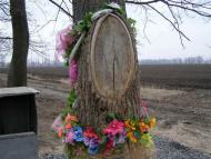 Стебне з panoramio.com