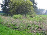 Петрушин з panoramio.com