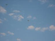 Коротич з panoramio.com