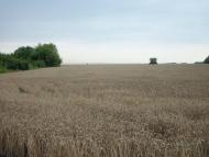 Балабине з panoramio.com