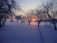 Моринці з panoramio.com