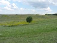 Острів з panoramio.com